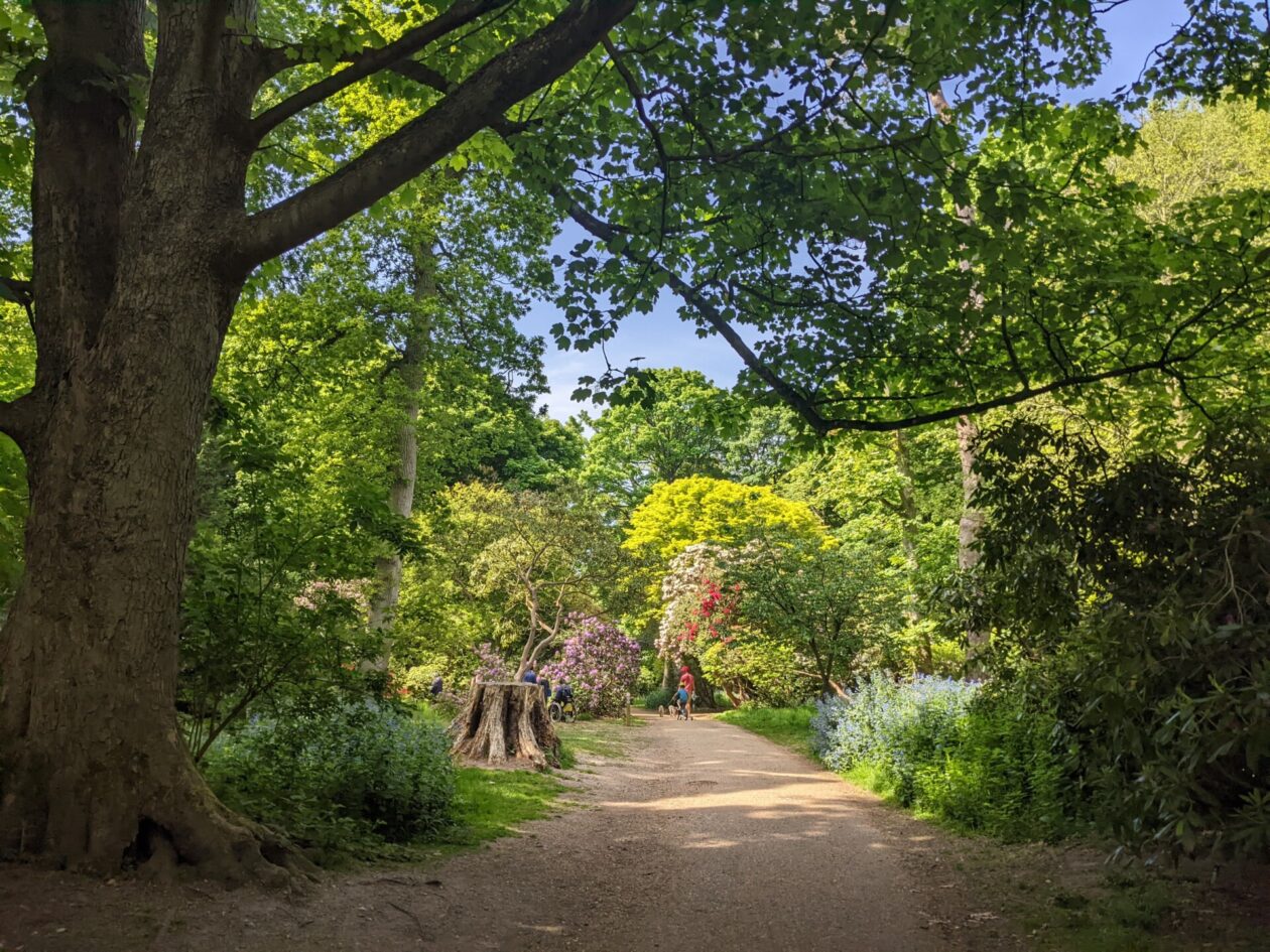 Sheringham Park